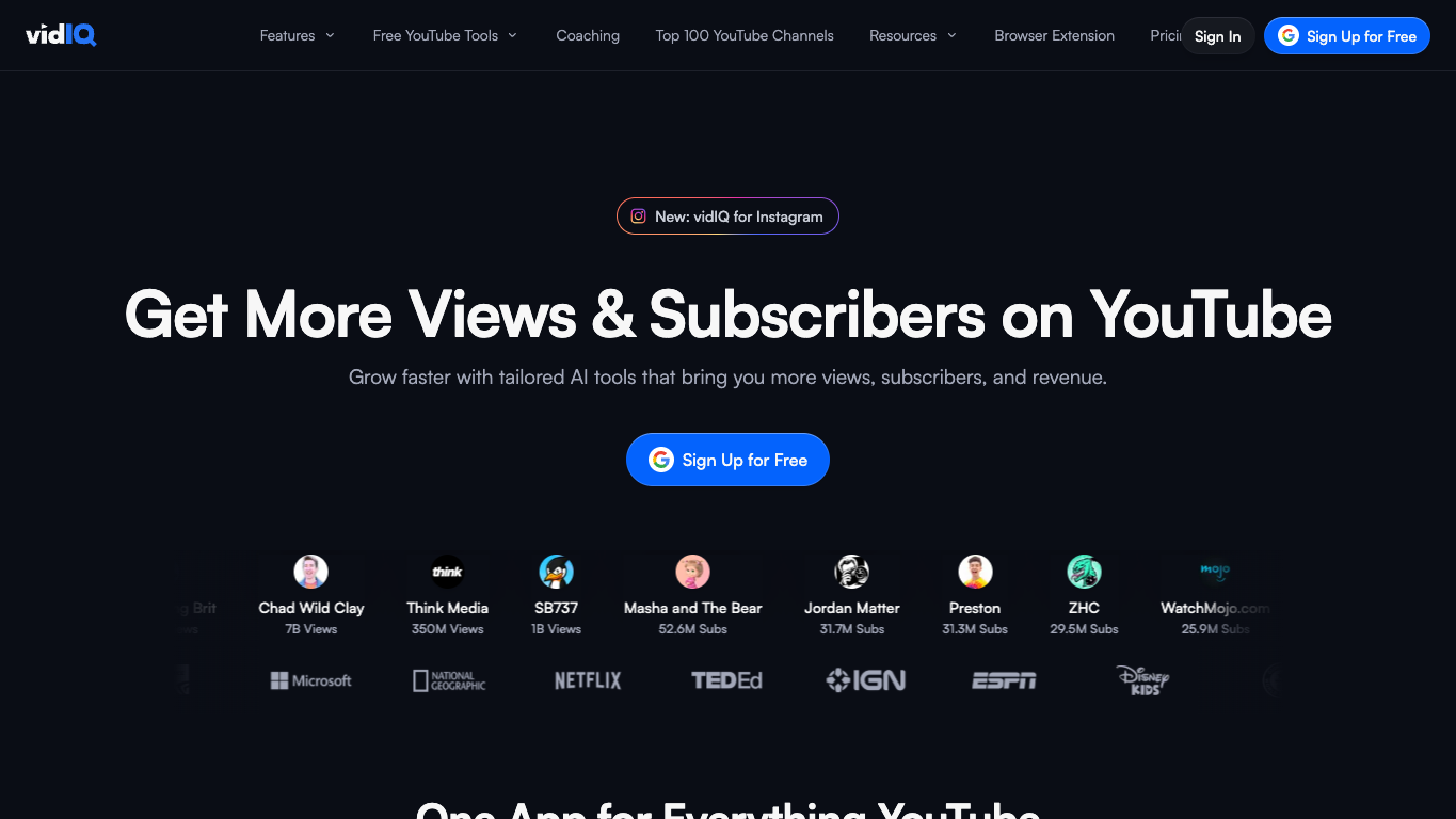 VidIQ screenshot